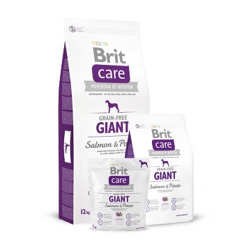 Brit Care Dog Grain-free Giant Salmon & Potato 12kg
