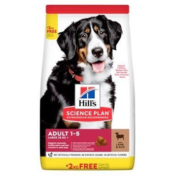 Hill's Can.Dry SP Adult Large Lamb&Rice 12+2kg