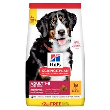Hill's Can.Dry SP Adult Large Chicken 12+2kg