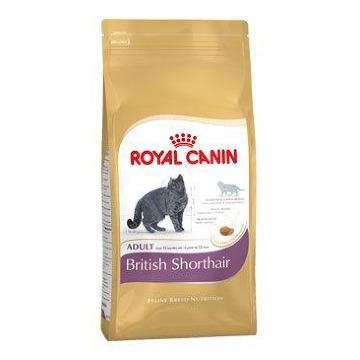 Royal canin Breed  Feline British Shorthair  2kg