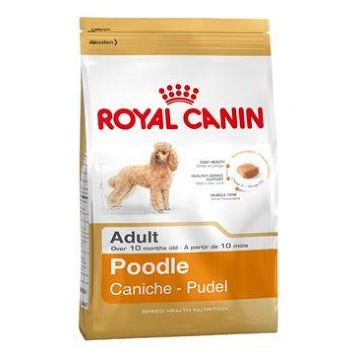 Royal canin Breed Pudl  500g