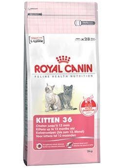 Royal canin Kom.  Feline Kitten  10kg