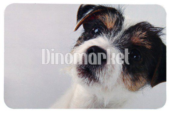 Prostírání pro psa pod misky s fotkou psa 43 x 28 cm
